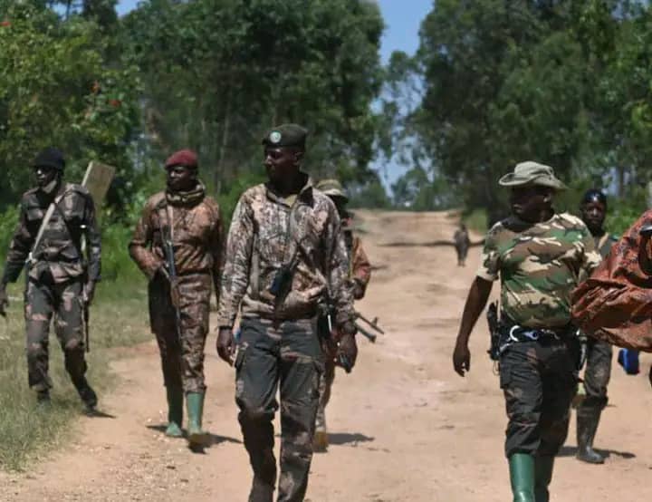 Nord-Kivu : nouveaux affrontements entre le M23 et les Wazalendo