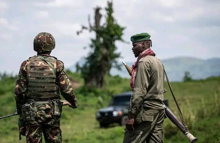 Walikale: l&rsquo;avion de l&rsquo;armée congolaise bombarde à nouveau le pont Minjenje